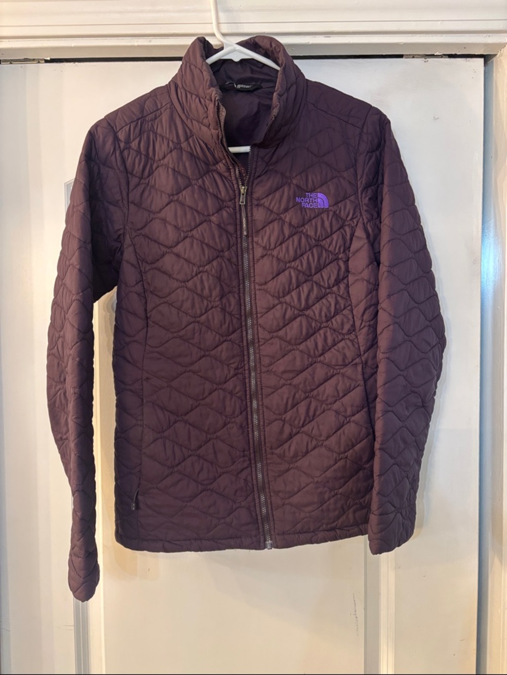 The North Face Quilted Jacket in Deep Plum